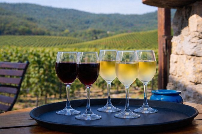 A tray of Catalan reds and whites poured above the vines