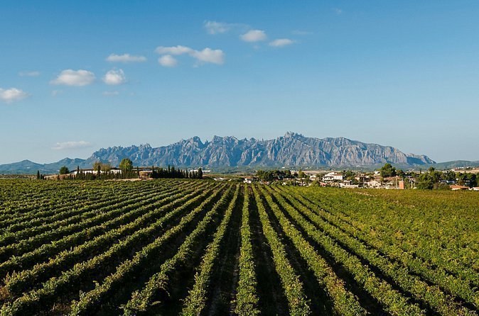 Private Montserrat and Cava Winery Tour with Hotel Pick Up from Barcelona