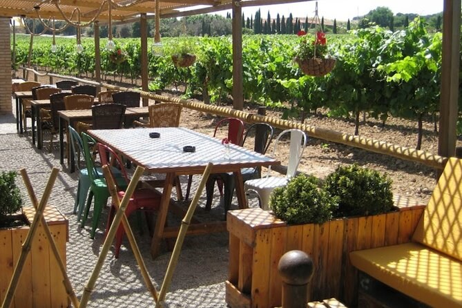 A tasting table set out among the vines at a Catalan winery